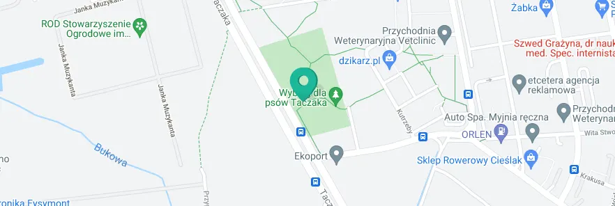 Miejsce rekreacji dla dzieci w Szczecinie: Międzyosiedlowy Park Kutrzeby