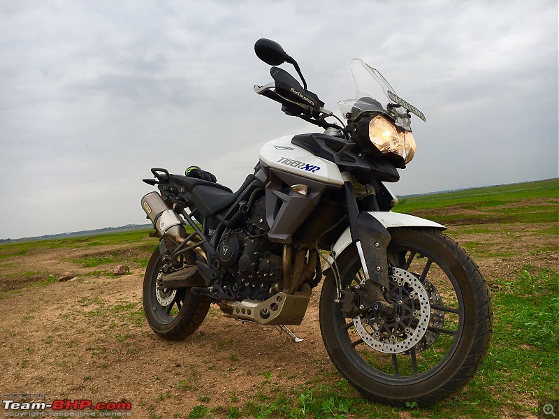 First Review of the Tiger after a grueling 10,000 kms! 
