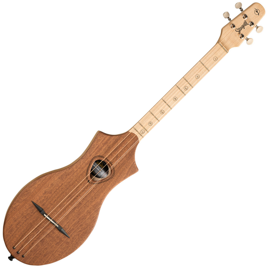 merlin g mountain dulcimer bundle