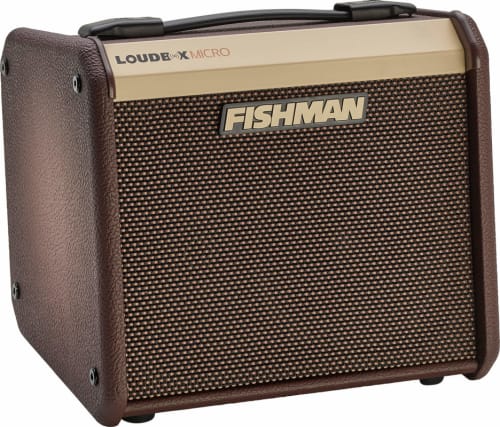 Fishman Loudbox Micro Acoustic Guitar Combo Amplifier, 40W, Brown ...