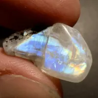 Pierre de lune Blanc avec arc-en-ciel, Sri Lanka, 19 x 11 x 6 mm, 10.89 ct