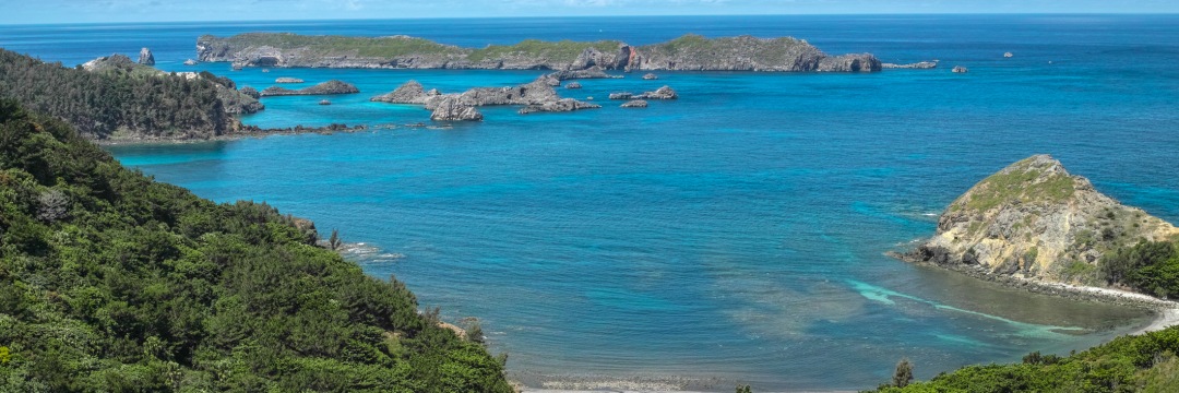 このプレゼンに「小笠原の命運」がかかっている…めちゃくちゃ「地味な生き物」の研究者が、世界遺産登録を「確信した瞬間」(千葉 聡) ブルー