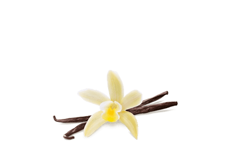 Vanilla_ing_revised1