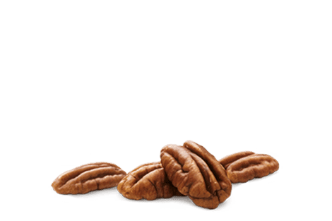 PECAN_ing_revised1