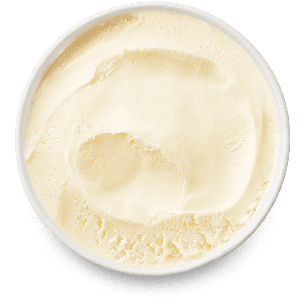 Frozen_Yogurt_Plain