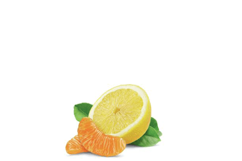 Zesty-Lemon-and-Mandarin_ing
