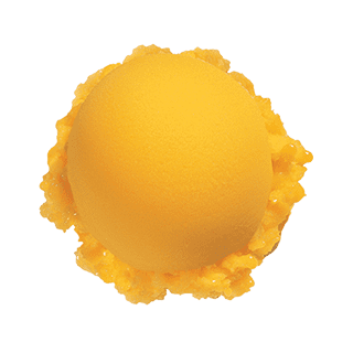 Mango Sorbet 320