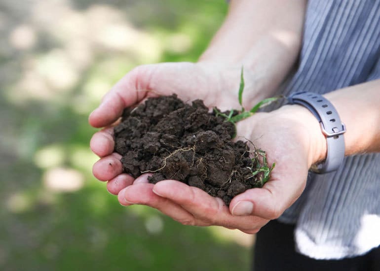 Hands cupped together, holding a scoop of rich, dark soil