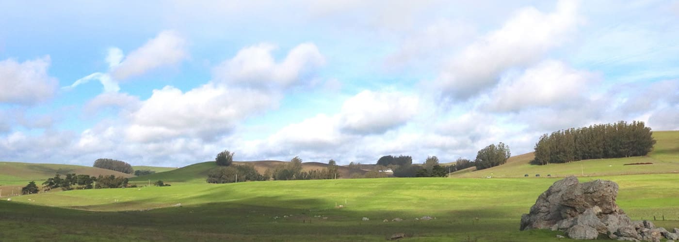 A landscape view of a green pasture. White, puffy clouds are scattered across a blue sky.