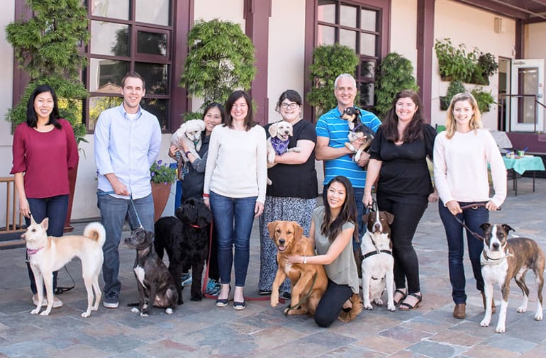 A group of people holding their dogs