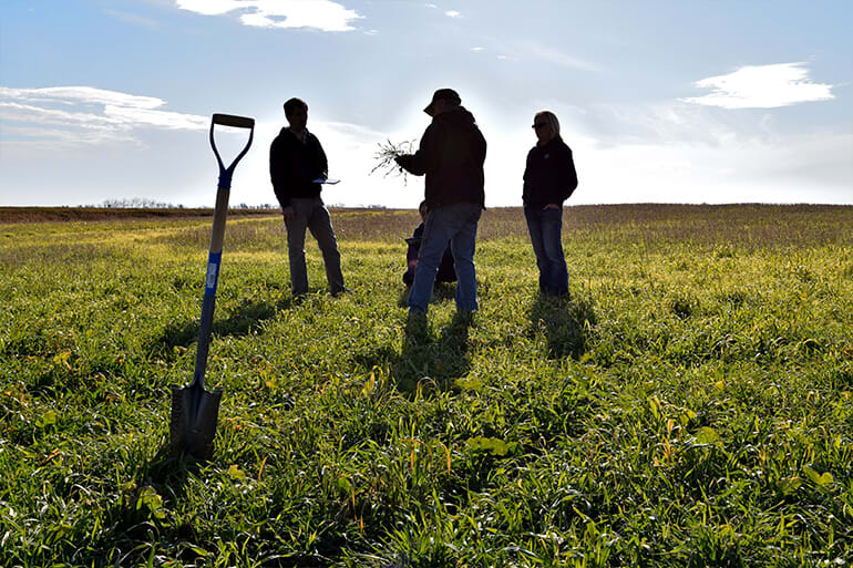 Farmers standing in a field