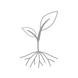 A gray and white illustration of a plant sprouting from the ground