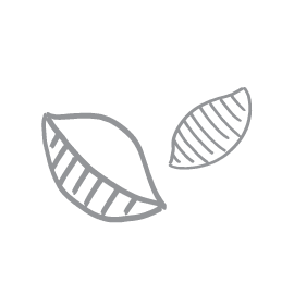 A gray and white illustration of two macaroni shell noodles