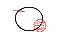 STAMFORD O' RING 152 DIA. 206-452 (Coo IT)