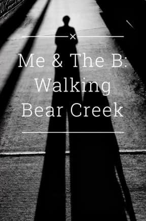 Me & The B, by Meri Aaron Walker