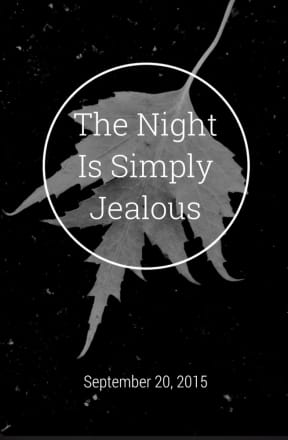 The Night Is Simply Jealous, by Meri Aaron Walker
