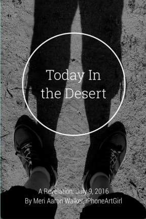 Today in the Desert, by Meri Aaron Walker