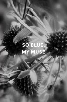 So Blue, My Muse, by Meri Aaron Walker