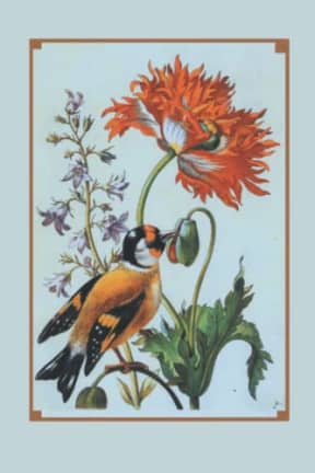 Vintage Goldfinch with Poppy & Bellflower Illustration Floral Botany Gardening Ornithology Blank Notebook Journal Lined, by Amanda Nevius Notebooks