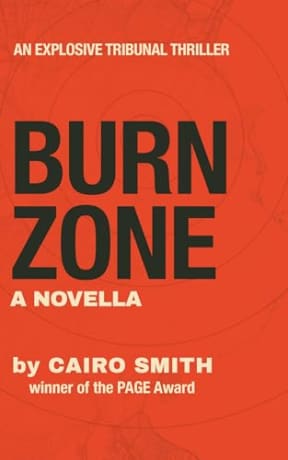 Burn Zone, by Cairo Smith