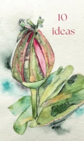 The 10 Ideas Book: Brainstorm and problem-solve in this beautiful art notebook. (Nina Khosla artwork), by True Beauty Press