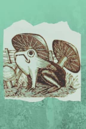 Sad Green Frog with Mushrooms Blank Notebook Journal Lined, by Amanda Nevius Notebooks