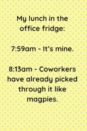 My lunch in the office fridge: 7:59am - Its mine. 8:13am - Coworkers have already picked through it like magpies.: A Funny Notebook for Coworkers: ... Journal for Taking Notes or Everyday Writing, by Delia-Rae Edwards