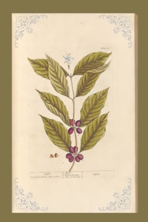 Vintage Bean Plant Illustration Blank Notebook Journal Lined, by Amanda Nevius