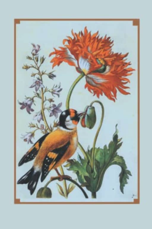 Vintage Goldfinch with Poppy & Bellflower Illustration Floral Botany Gardening Ornithology Blank Notebook Journal Lined, by Amanda Nevius Notebooks