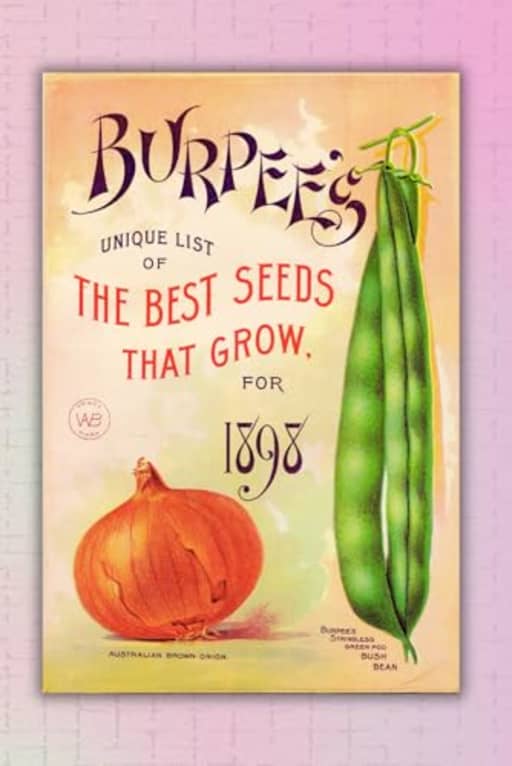 Vintage Onion & Bush Bean - the Best Seeds That Grow - Notebook, by Amanda Nevius