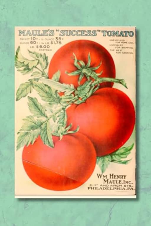 Vintage Success Tomato Seed Packet Notebook, by Amanda Nevius