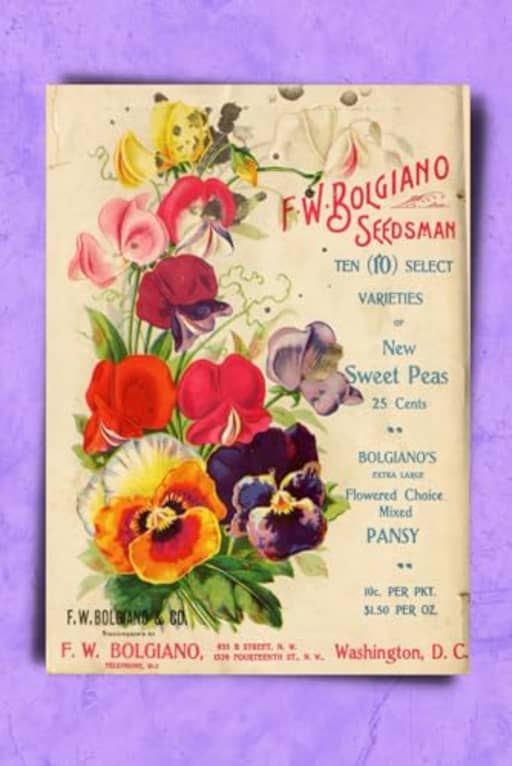 Vintage Sweet Peas & Pansy Seed Packet Illustration Floral Gardening Blank Notebook Journal Lined, by Amanda Nevius