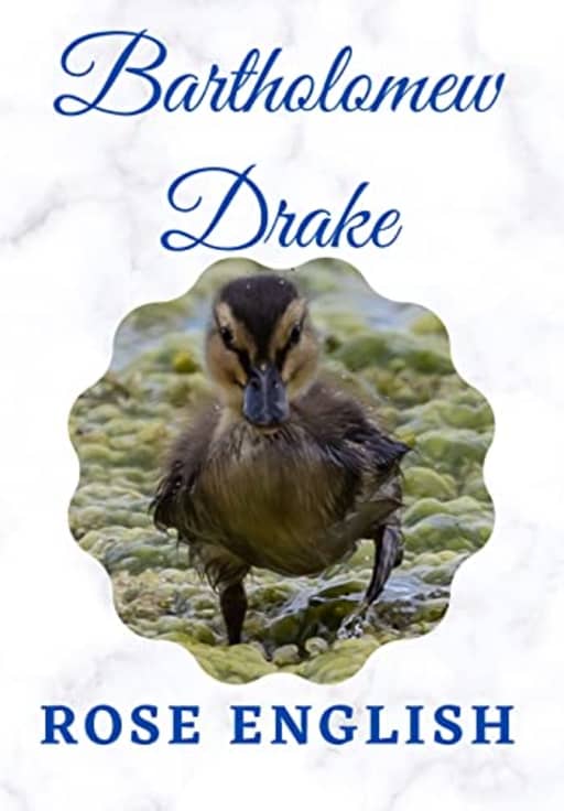 Bartholomew Drake: & Life on the Lake (Calvin The Swan), by Rose English
