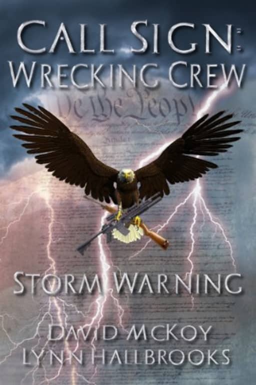 Storm Warning (Book 1 in the Call Sign: Wrecking Crew series), by David McKoy | Lynn Hallbrooks