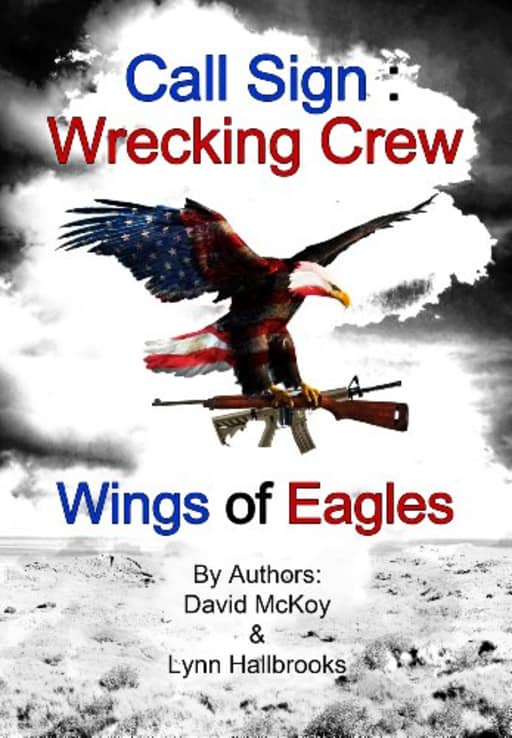Wings of Eagles (Call Sign: Wrecking Crew Book 2), by David McKoy | Lynn Hallbrooks