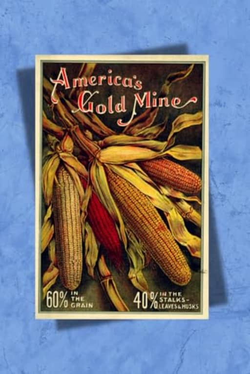 Vintage Corn America's Gold Mine Seed Packet Notebook, by Amanda Nevius