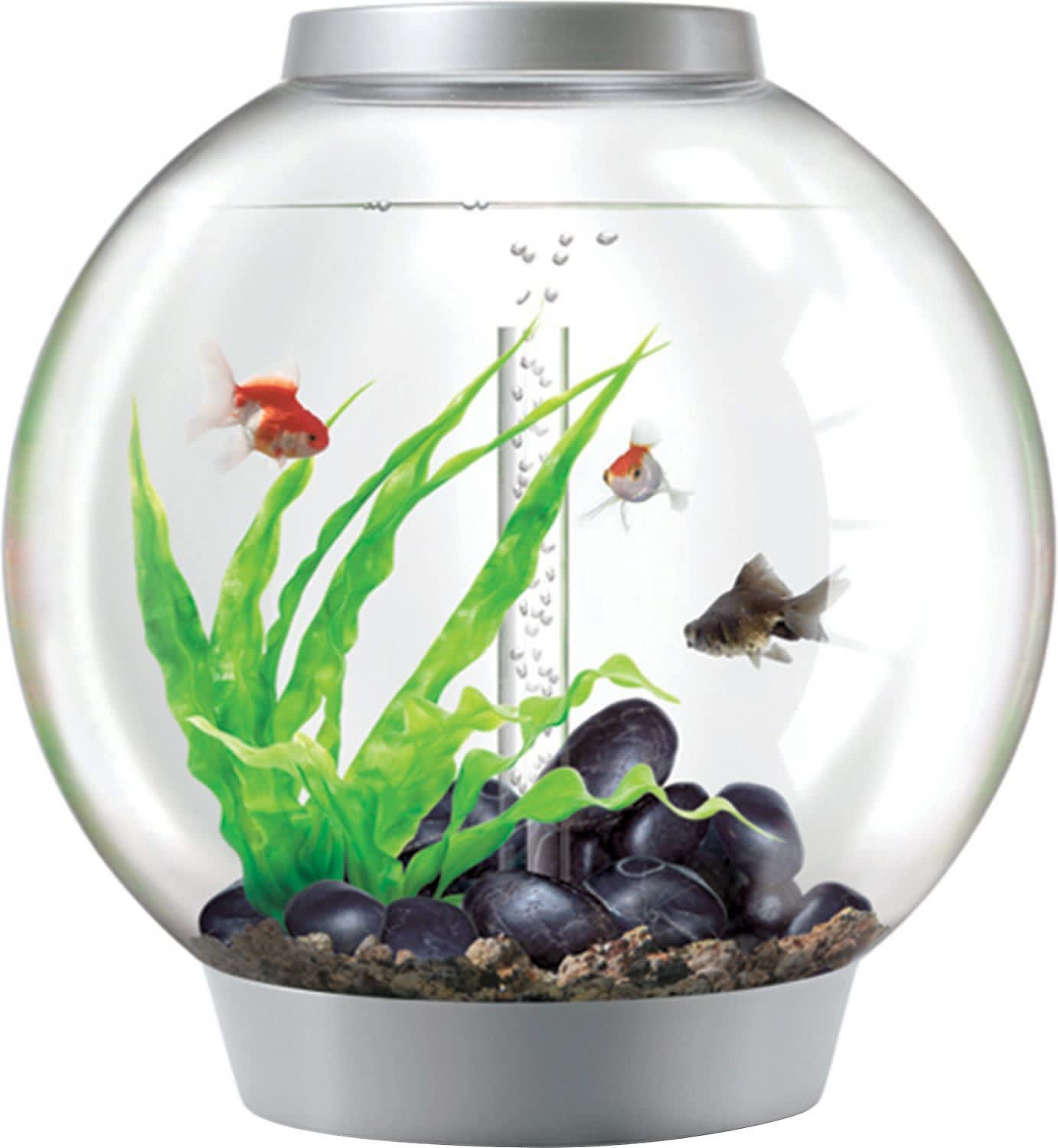 BiOrb Clasic - 8 Gallon Led Aquarium