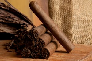 Premium Handmade Cigars Surge as Industry Eyes 2033