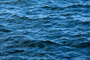 Trump Reopens Atlantic Waters Closed Under Obama