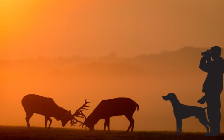 Connecticut’s New Sunday Hunting Law