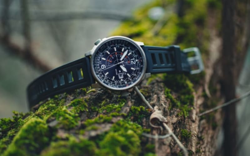 Top Watches for Outdoorsmen