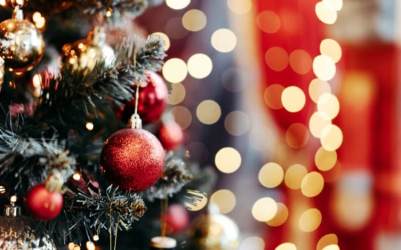 6 Best New Costco Christmas Decor 2025