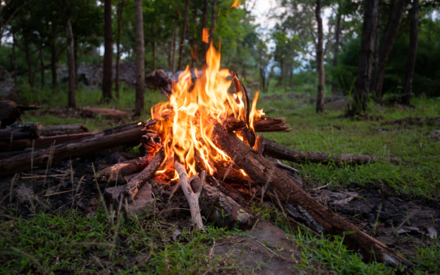 Mastering FireStarting Techniques for Wet Weather Camping