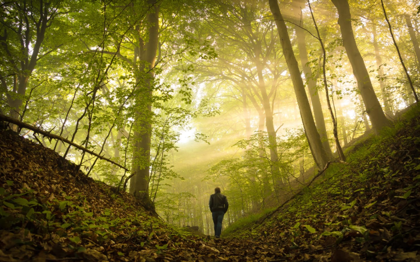 How to Signal for Help When Youre Lost in the Wild