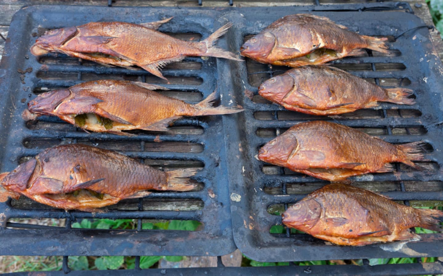 Why Smoking Fish Deserves More Attention