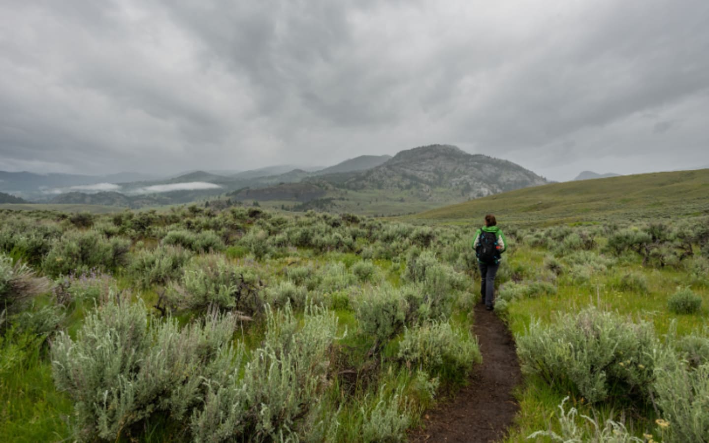 How to Stay Invisible in a Wilderness Escape