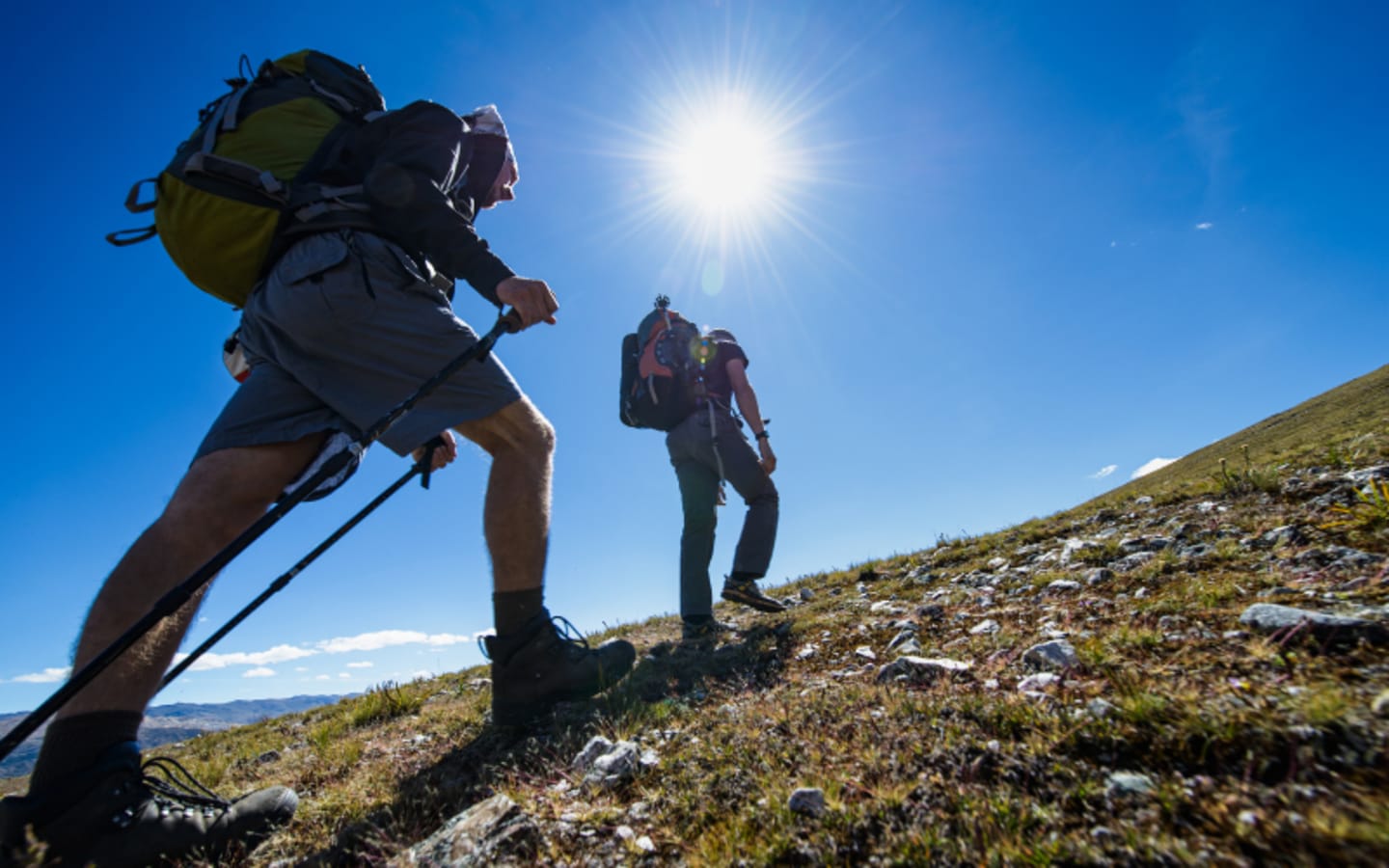 Why Trekking Poles Can Save Your Knees on Steep Trails