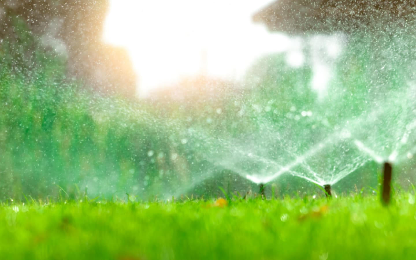 How to Water Your Lawn Efficiently in Dry Seasons