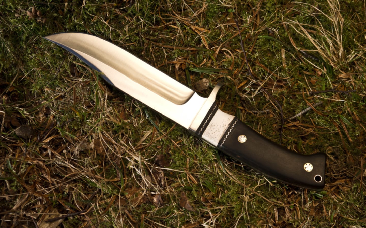 The Anatomy of Hunting Camping Knives Choosing the Right One