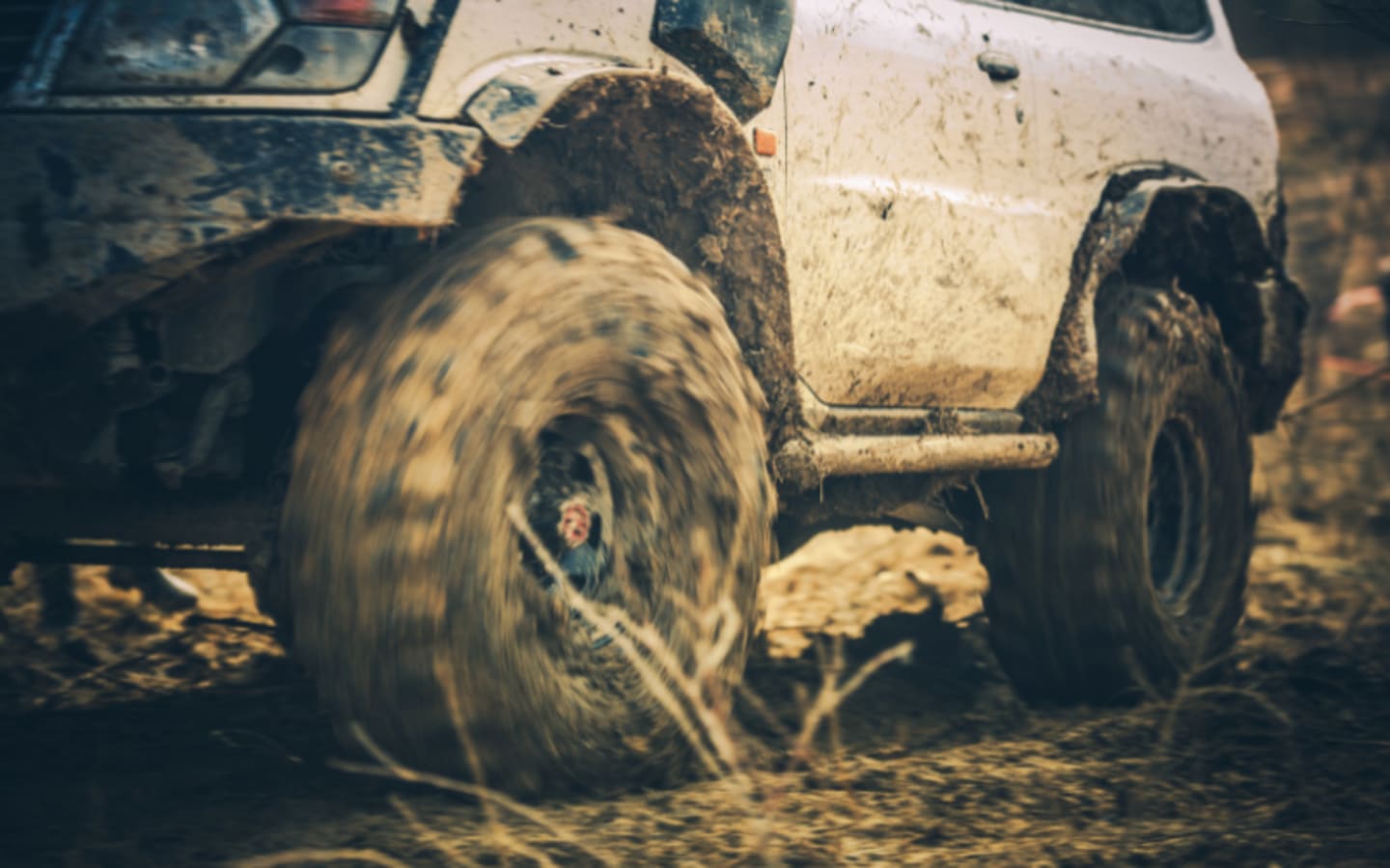 Boone Countys New Trails Spark Hope and Growth